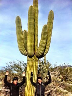 seijin arizona cactus.jpg